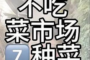 Windhorst：詹库几个月来一直在讨论在科尔执教下一起打球的可能